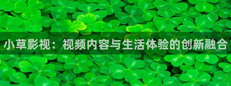 新视觉影院6680：小草影视：视频内容与生活体验的创新融合