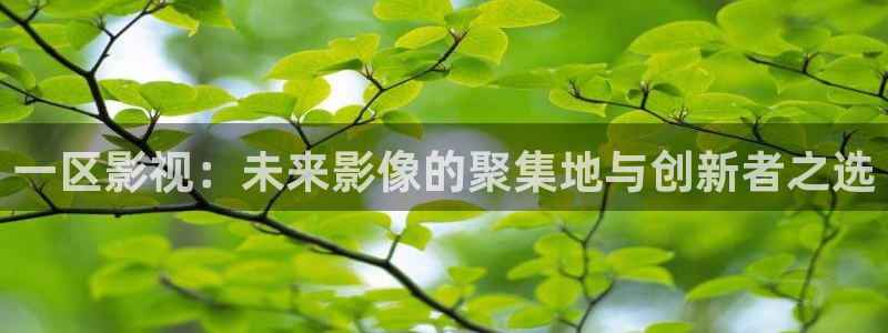 神马影院6080新视觉：一区影视：未来影像的聚集地与创新者之选