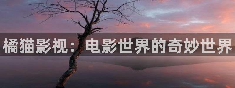 yy6090新视觉电视剧在线观看免费版：橘猫影视：电影世界的奇妙世界