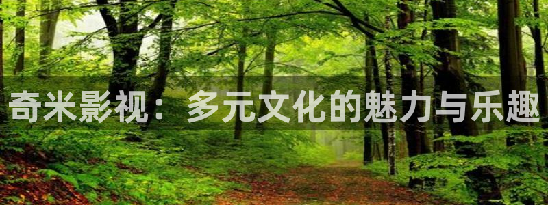 6080yy新视觉电影伦理：奇米影视：多元文化的魅力与乐趣