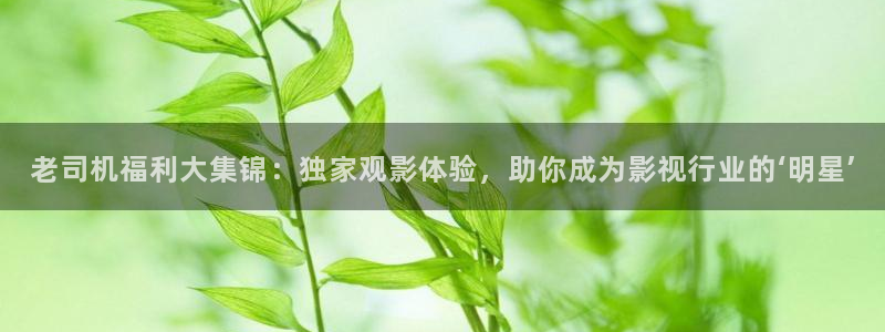 星空影院6080新视觉电视剧免费上线：老司机福利大集锦：独家观影体验，助你成为影视行业的‘明星’