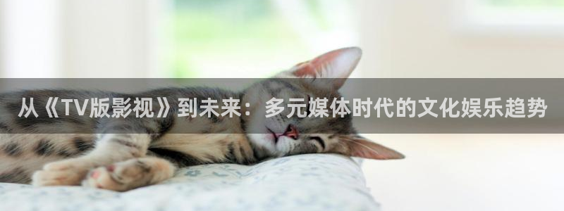 新视觉影院6080午夜：从《TV版影视》到未来：多元媒体时代的文化娱乐趋势