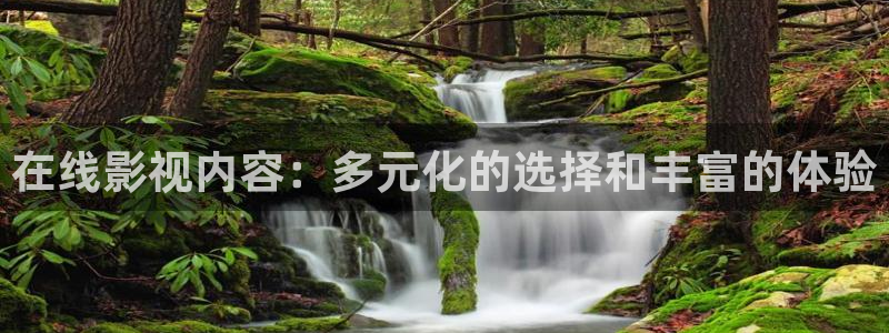 新视觉yy6080高清电视剧在线观看：在线影视内容：多元化的选择和丰富的体验