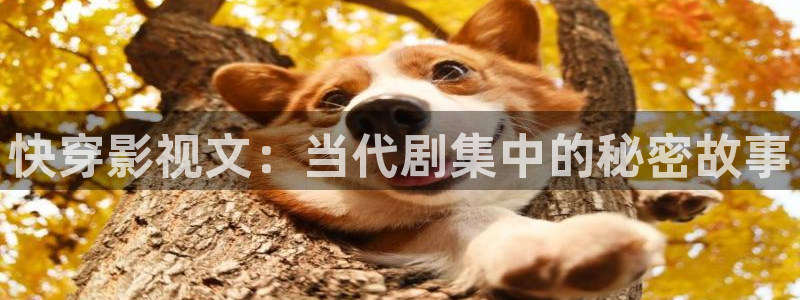 yy6080新视觉影视大全网：快穿影视文：当代剧集中的秘密故事