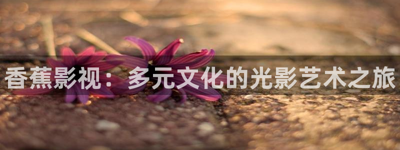 6080新视觉免费网站：香蕉影视：多元文化的光影艺术之旅