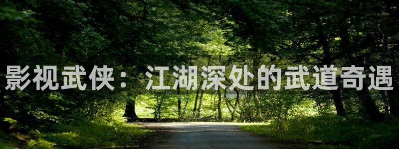 6080新视觉理论电影：影视武侠：江湖深处的武道奇遇
